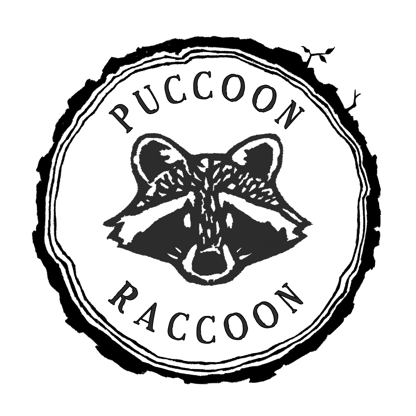Raccoon engagement deals ring